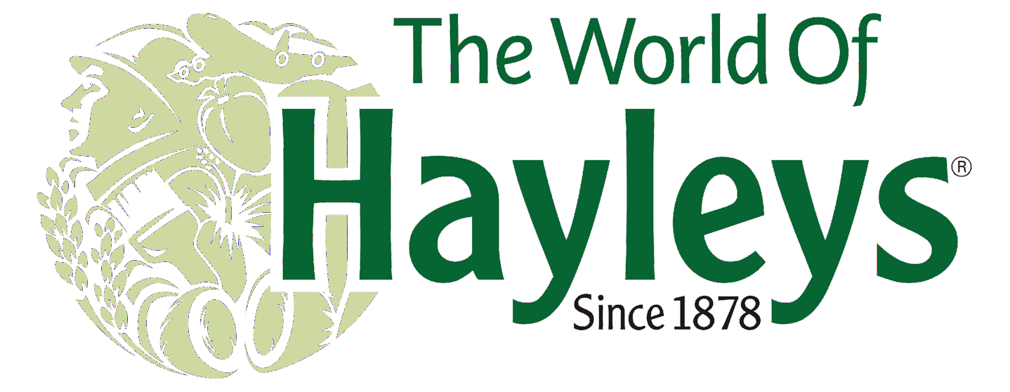 Hayleys